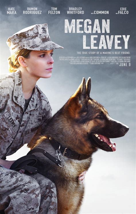 pelicula megan torrent|Descargar Megan Leavey 